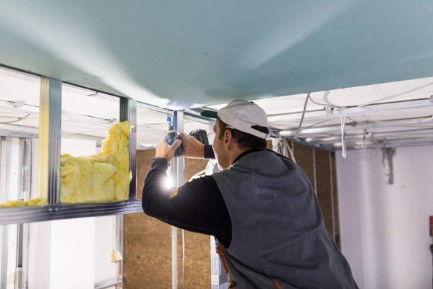 Best Cellulose Insulation in Centre, AL
