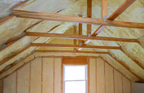 Best Eco-Friendly Insulation in Centre, AL